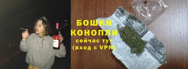 ПСИЛОЦИБИНОВЫЕ ГРИБЫ Михайловск