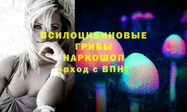 ПСИЛОЦИБИНОВЫЕ ГРИБЫ Михайловск