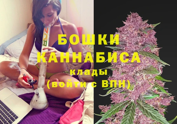 ПСИЛОЦИБИНОВЫЕ ГРИБЫ Михайловск