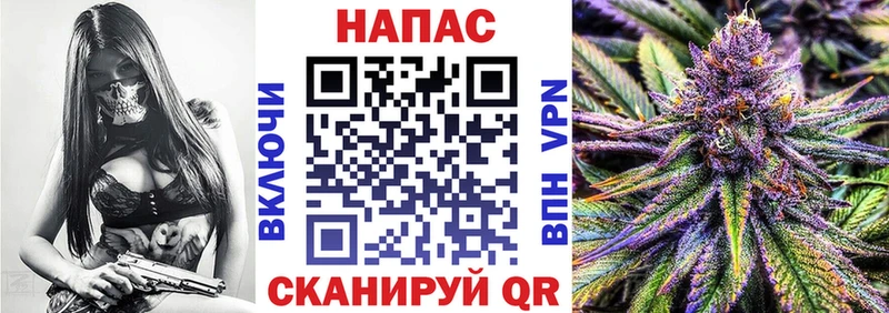 МАРИХУАНА план  продажа наркотиков  Тогучин 